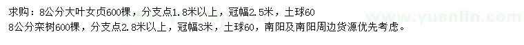 求購8公分大葉女貞、欒樹