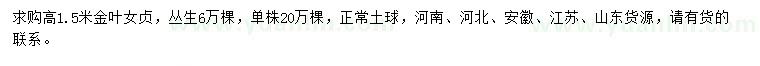求購高1.5米金葉女貞