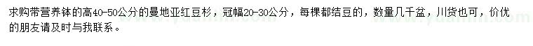 求購(gòu)高40-50公分曼地亞紅豆杉