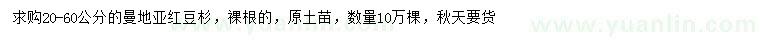 求購20-60公分曼地亞紅豆杉