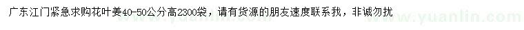 求購高40-50公分花葉姜