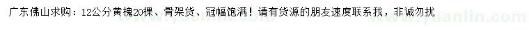 求購12公分黃槐