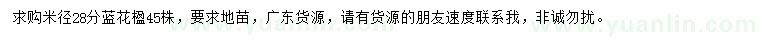求購米徑28公分藍(lán)花楹