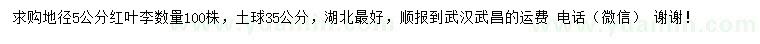 求購地徑5公分紅葉李