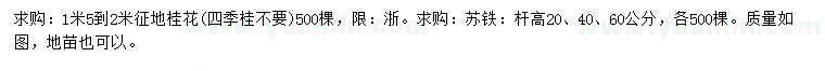 求購1.5-2米桂花