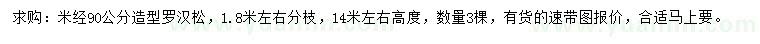 求購米經(jīng)90公分羅漢松
