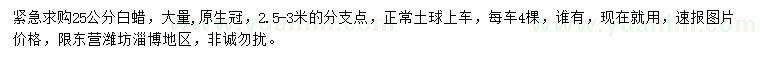 求購25公分白蠟