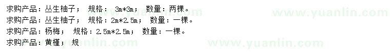 求購(gòu)叢生柚子、楊梅、黃槿