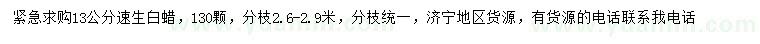 求購13公分速生白蠟