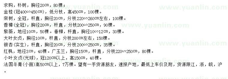 求購(gòu)樸樹(shù)、金桂、欒樹(shù)等