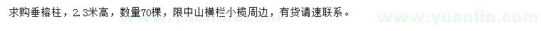 求購高2.3米垂榕柱