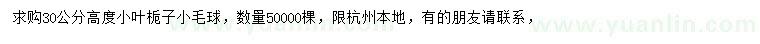 求購高30公分小葉梔子