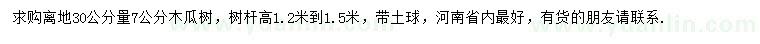求購離地30公分量7公分木瓜樹