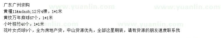 求購黃槿、黃紋萬年麻、小葉棕竹等