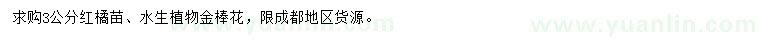 求購3公分紅橘苗、金棒花