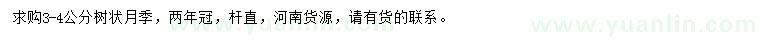求購3-4公分樹狀月季