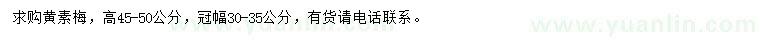 求購高45-50公分黃素梅