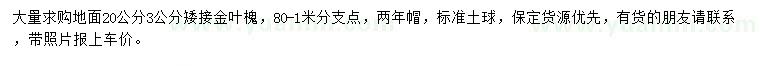 求購地面20公分3公分矮接金葉槐