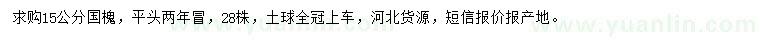 求購15公分國槐