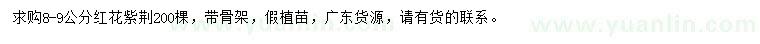 求購8-9公分紅花紫荊