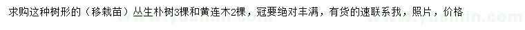 求購(gòu)叢生樸樹(shù)、黃連木