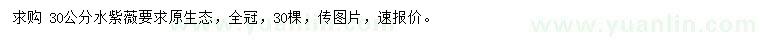 求購 30公分水紫薇