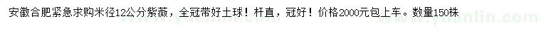 求購米徑12公分紫薇