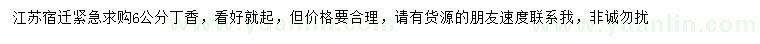 求購6公分丁香