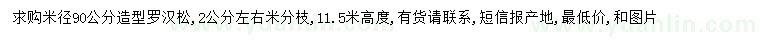求購米徑90公分羅漢松