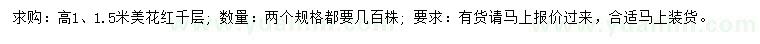 求購高1、1.5米美花紅千層