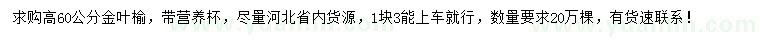 求購高60公分金葉榆