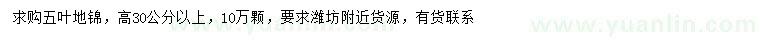 求購(gòu)高30公分以上五葉地錦