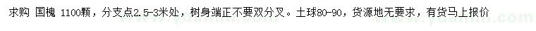 求購國槐