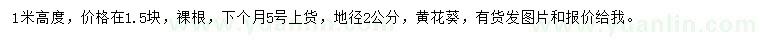 求購地徑2公分黃花葵