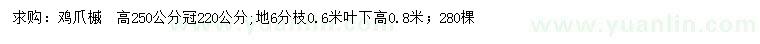 求購高250公分雞爪槭