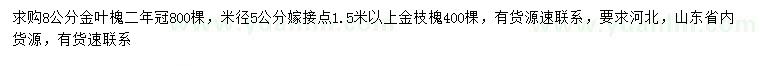 求購8公分金葉槐、5公分金枝槐