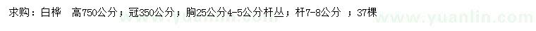 求購(gòu)高750公分白樺