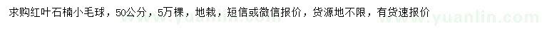 求購(gòu)50公分紅葉石楠