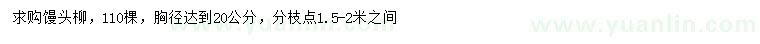 求購胸徑20公分饅頭柳