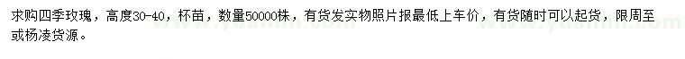 求購高30-40公分四季玫瑰