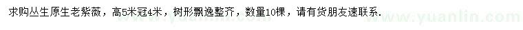 求購冠幅4米原生老紫薇