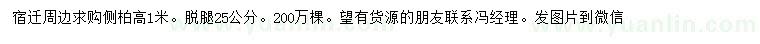 求購(gòu)高1米側(cè)柏