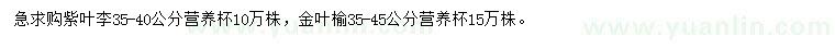 求購35-40公分紫葉李、35-45公分金葉榆
