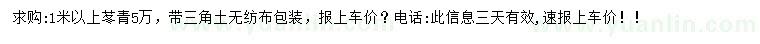 求購1米以上冬青