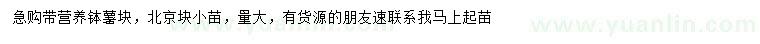 求購薯塊
