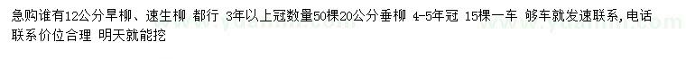 求購旱柳、速生柳 、垂柳