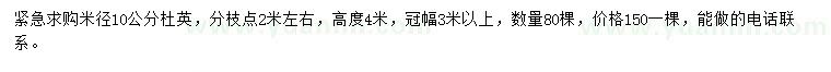 求購米徑10公分杜英