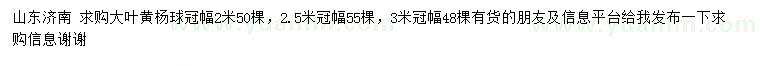 求購冠幅2、2.5、3米大葉黃楊