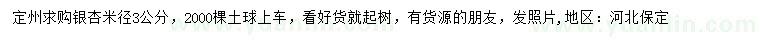 求購米徑3公分銀杏