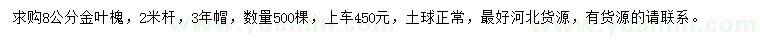 求購8公分金葉槐